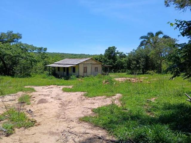 Sítio e chácara venda em Região Geográfica Imediata de São Francisco, São Romão