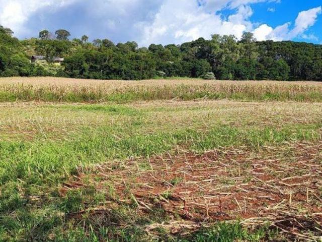 Sítio e chácara venda em Região Geográfica Imediata de Francisco Beltrão, Francisco Beltrão