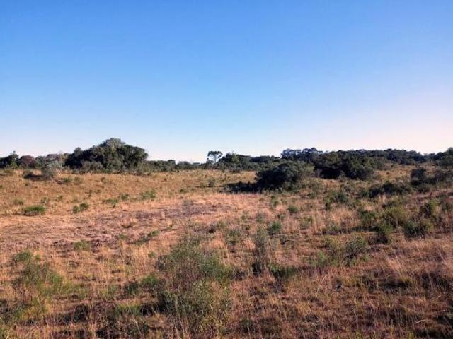 Sítio e chácara venda em Chapada, Jaquirana