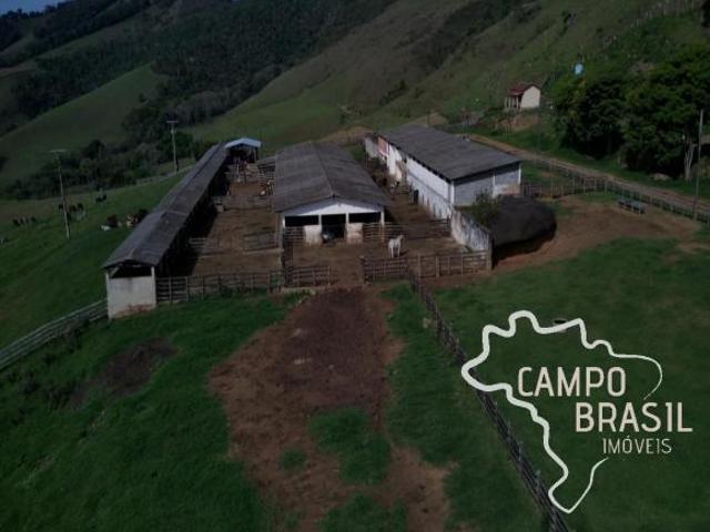 Sítio e chácara venda em Região Geográfica Imediata de Caxambu - Baependi, Caxambu