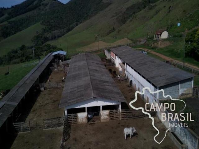 Sítio e chácara venda em Região Geográfica Imediata de Caxambu - Baependi, Caxambu