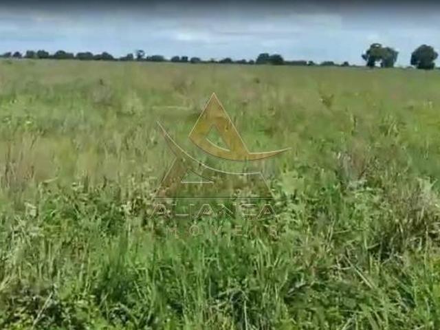 Sítio e chácara venda em Região Geográfica Imediata de Goiás - Itapuranga, Jussara