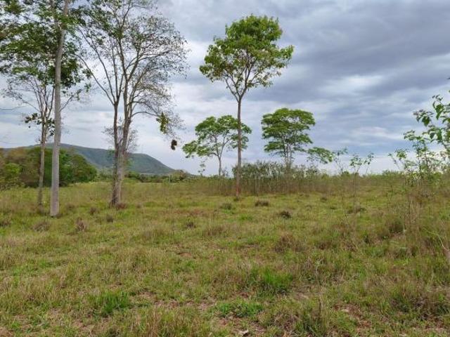 Sítio e chácara venda em São Geraldo do Salto, Felixlândia