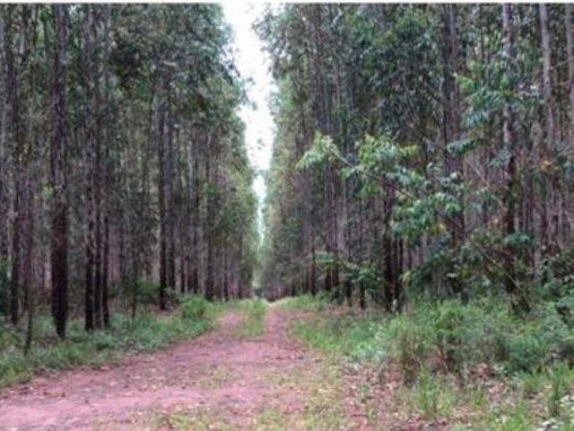 Sítio e chácara venda em Região Imediata de Ribeirão Preto, Região Metropolitana de Ribeirão Preto