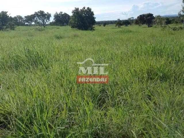 Fazenda venda em Região Geográfica Imediata de Gurupi, Parana