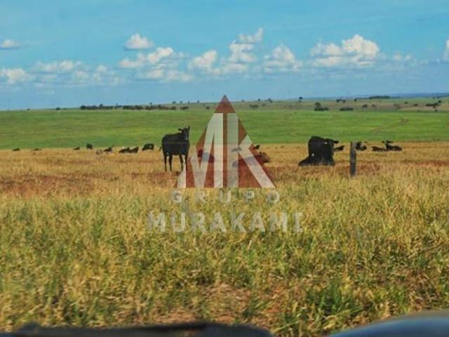 Sítio e chácara venda em Região Geográfica Imediata de Campo Grande, Camapuã