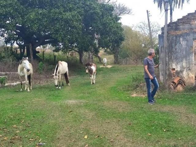Sítio e chácara venda em Região Geográfica Imediata de Oliveira, Oliveira