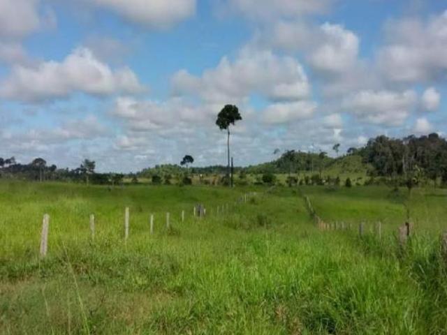 Sítio e chácara venda em Região Geográfica Imediata do Distrito Federal, Região Integrada de Desenvolvimento do Distrito Federal e Entorno