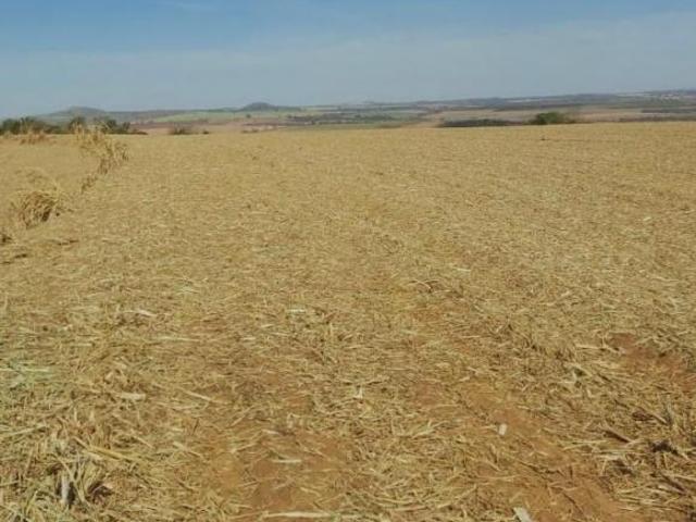 Sítio e chácara venda em Região Geográfica Imediata de Gurupi, Formoso do Araguaia