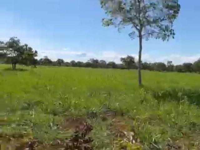Sítio e chácara venda em Região Geográfica Imediata de Curvelo, Corinto