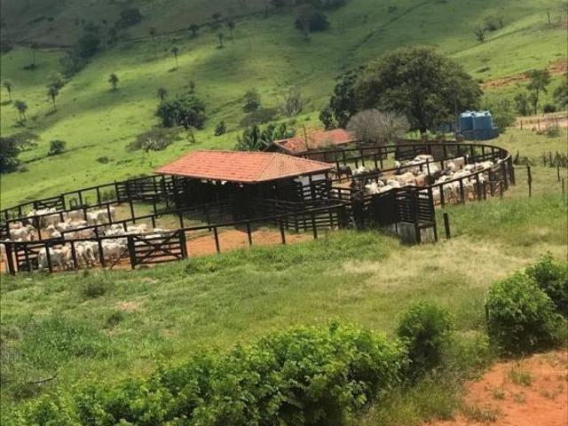 Sítio e chácara venda em Região Imediata de Mogi Guaçu, Itapira
