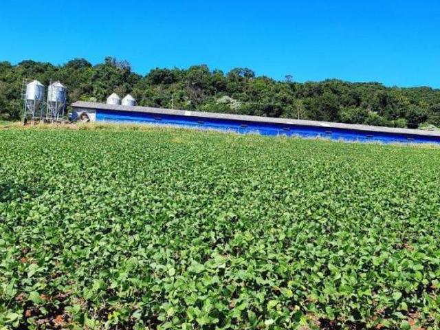 Sítio e chácara venda em Região Geográfica Imediata de Francisco Beltrão, Francisco Beltrão