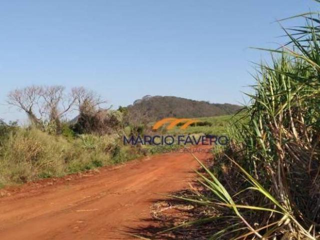Sítio e chácara venda em Região Imediata de São Carlos, São Carlos