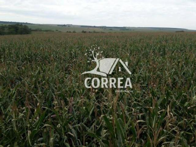 Sítio e chácara venda em Região Imediata de Avaré, Paranapanema