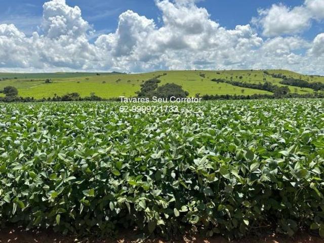 Sítio e chácara venda em Região Geográfica Imediata de Anápolis, Anápolis