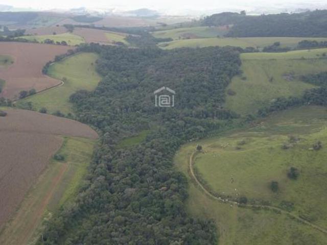 Sítio e chácara venda em Região Geográfica Imediata de Belo Horizonte, Região Metropolitana de Belo Horizonte