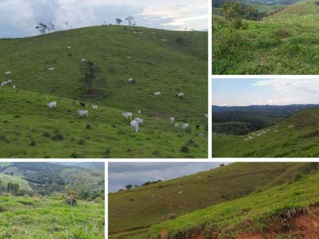 Sítio e chácara venda em Região Imediata de São Paulo, Região Metropolitana de São Paulo