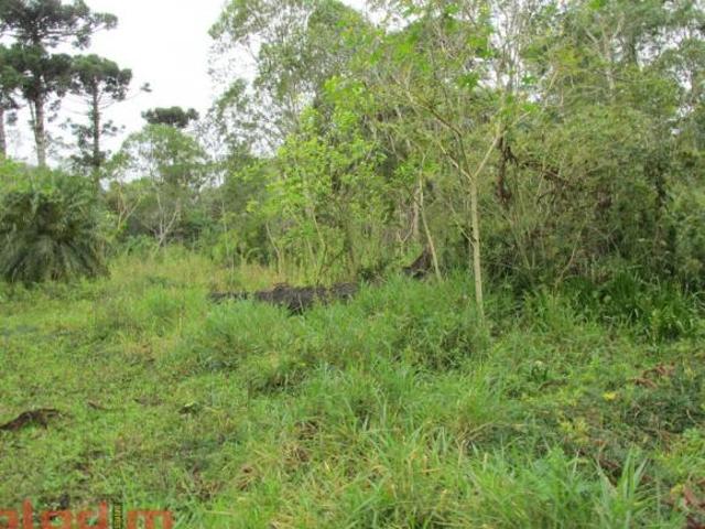Sítio e chácara venda em Região Imediata de São Paulo, Região Metropolitana de São Paulo