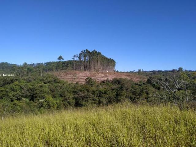 Sítio e chácara venda em Região Geográfica Imediata de São João del Rei, Ritápolis