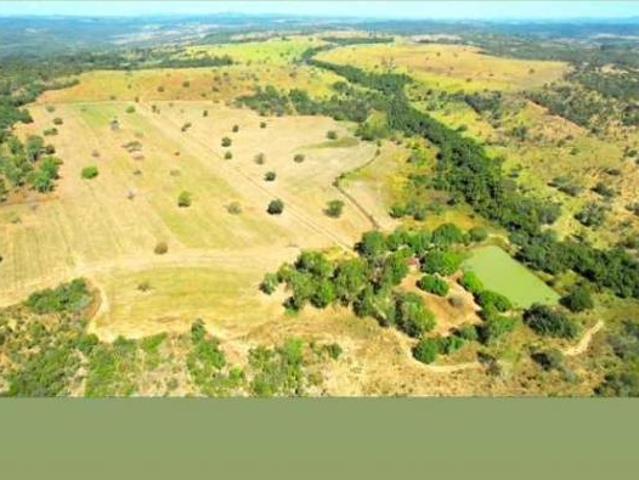 Sítio e chácara venda em Região Geográfica Imediata de Anápolis, Anápolis