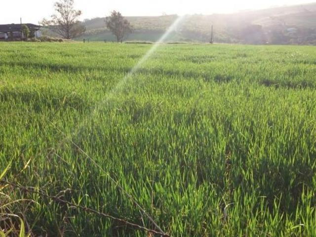 Sítio e chácara venda em Região Imediata de Itapetininga, Região Metropolitana de Sorocaba
