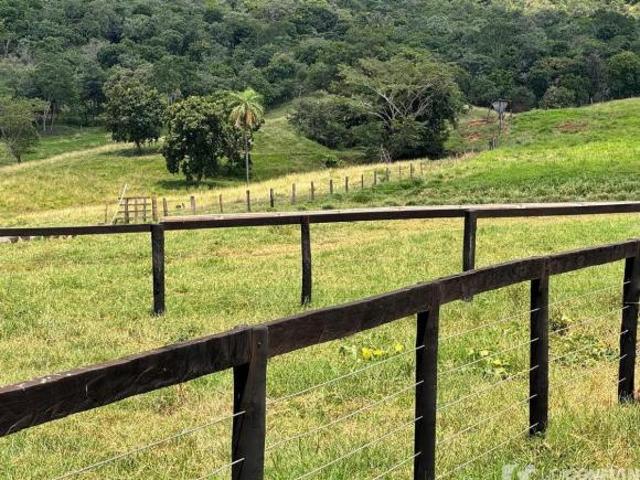 Sítio e chácara venda em Região Geográfica Imediata de Quirinópolis, Paranaiguara