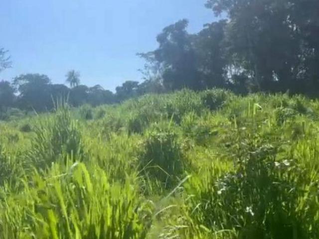 Sítio e chácara venda em Região Geográfica Imediata de Aquidauana - Anastácio, Anastácio