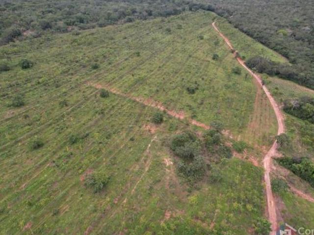 Sítio e chácara venda em Região Geográfica Imediata de Patos de Minas, Presidente Olegário