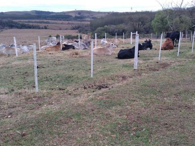 Sítio e chácara venda em Paranapanema