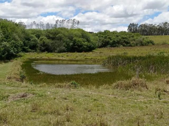 Fazenda venda em Região Imediata de Avaré, Paranapanema