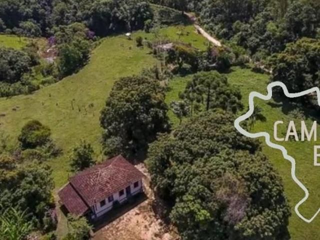 Sítio e chácara venda em Região Imediata de Cruzeiro, Região Metropolitana do Vale do Paraíba e Litoral Norte
