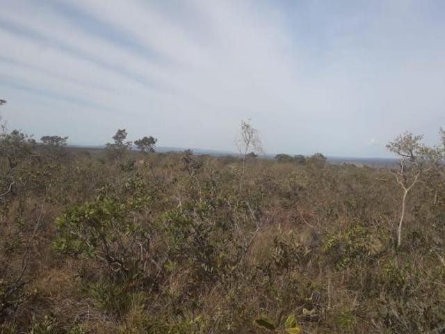 Sítio e chácara venda em Região Geográfica Imediata de Montes Claros, Francisco Sá