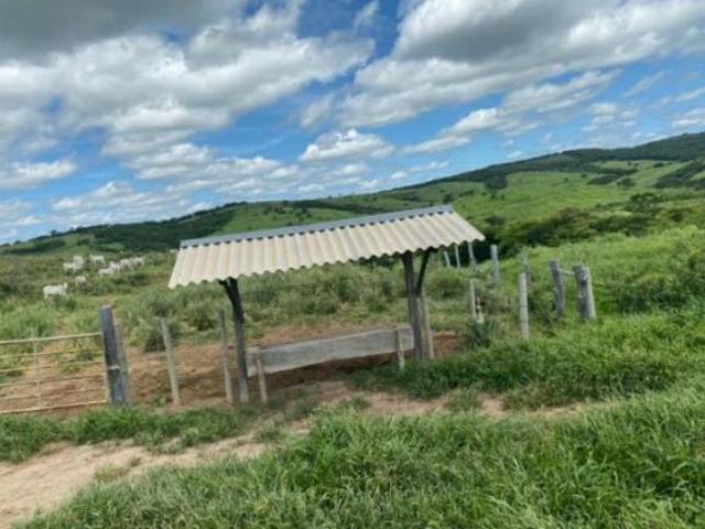 Sítio e chácara venda em Francisco Sá, Região Geográfica Intermediária de Montes Claros