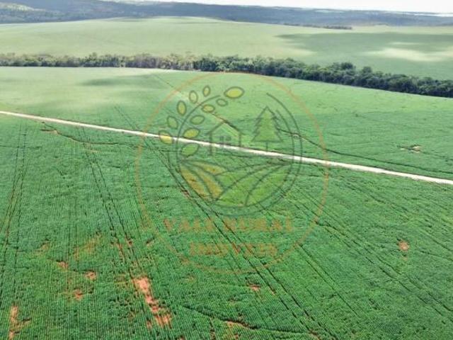 Sítio e chácara venda em Região Geográfica Imediata de São Luís de Montes Belos, São Luís de Montes Belos