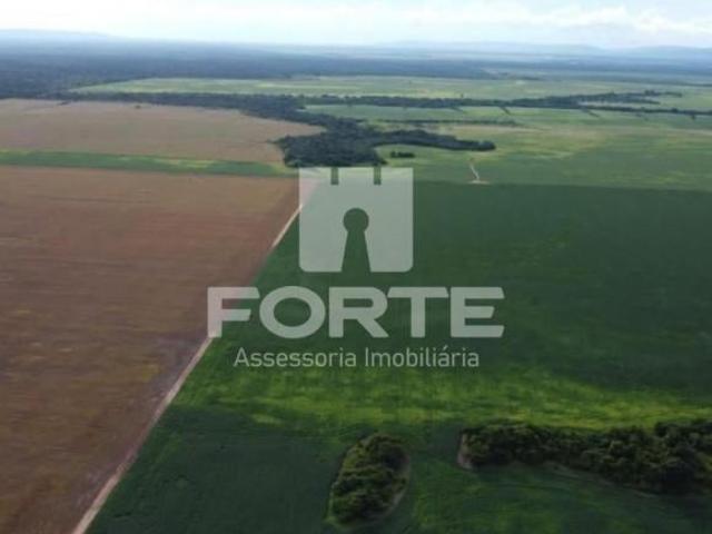 Sítio e chácara venda em Região Geográfica Imediata de Confresa - Vila Rica, São Felix do Araguaia