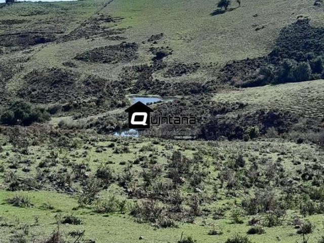 Sítio e chácara venda em Região Geográfica Imediata de Bagé, Região Sul