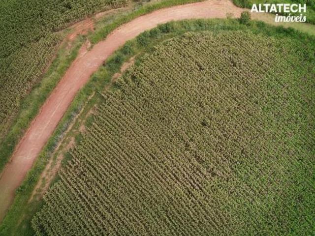 Sítio e chácara venda em Região Geográfica Imediata de Belo Horizonte, Região Metropolitana de Belo Horizonte