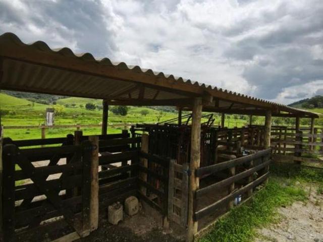 Sítio e chácara venda em Região Imediata de Registro, Juquia