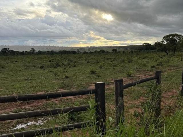 Sítio e chácara venda em Região Geográfica Imediata de Campo Grande, Campo Grande