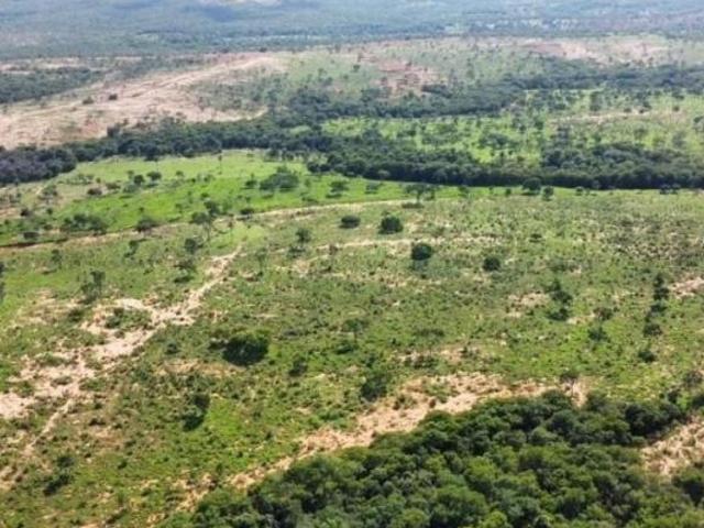 Sítio e chácara venda em Região Geográfica Imediata de Abaeté, Morada Nova de Minas