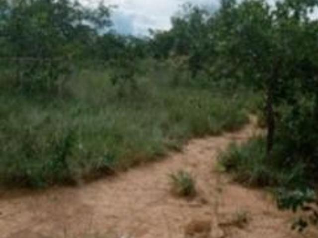 Sítio e chácara venda em Região Geográfica Imediata de Unaí, Formoso