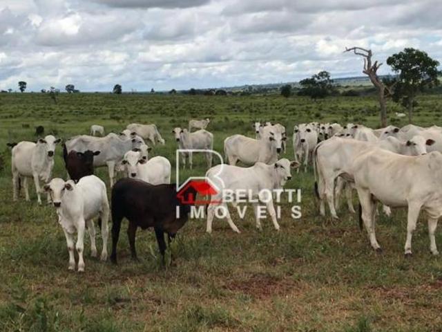 Sítio e chácara venda em Região Geográfica Imediata de Fortaleza, Fortaleza