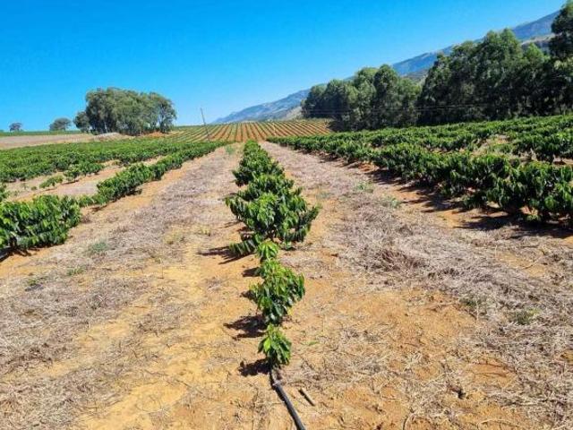 Sítio e chácara venda em Região Geográfica Imediata de Gurupi, Formoso do Araguaia