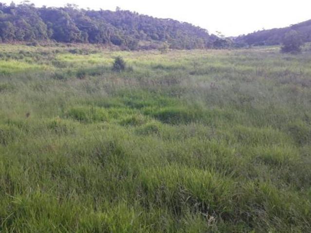 Sítio e chácara venda em Região Geográfica Imediata de Teófilo Otoni, Teófilo Otoni