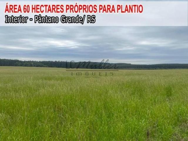 Sítio e chácara venda em Região Geográfica Imediata de Santa Cruz do Sul, Pântano Grande