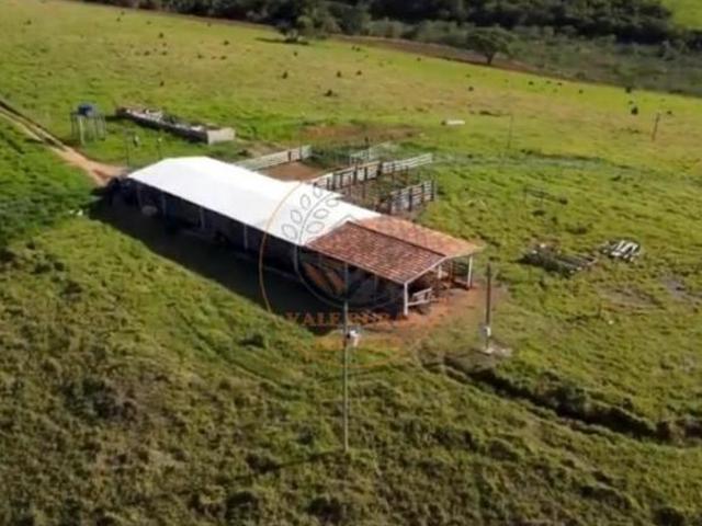 Sítio e chácara venda em Região Geográfica Imediata de Juiz de Fora, Andrelândia