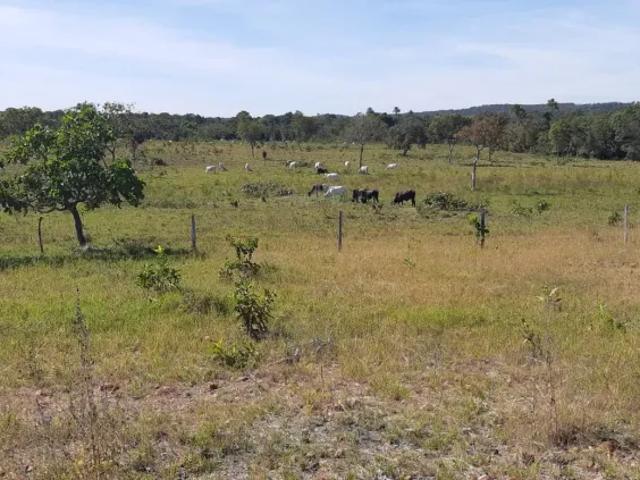 Fazenda venda em Região Geográfica Imediata de Ceres - Rialma - Goianésia, Crixás