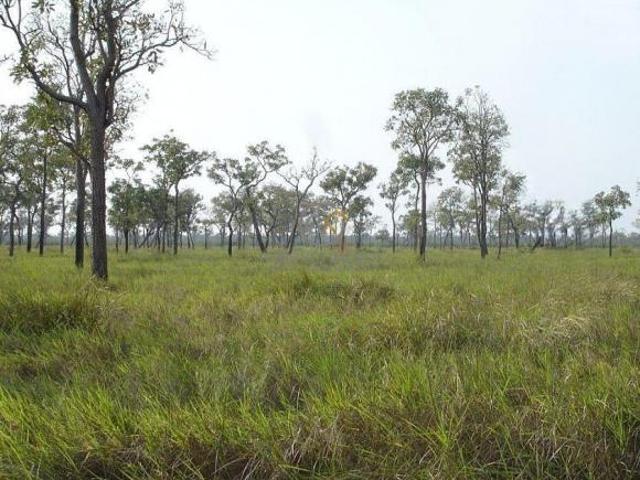Sítio e chácara venda em Região Geográfica Imediata de Aquidauana - Anastácio, Miranda