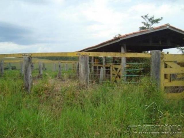Sítio e chácara venda em Pilar do Sul, Região Geográfica Intermediária de Sorocaba