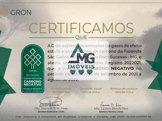 Sítio e chácara venda em Região Geográfica Imediata de Lavras, Santo Antônio do Amparo